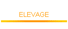 ELEVAGE