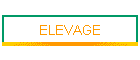 ELEVAGE