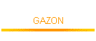 GAZON