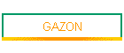 GAZON