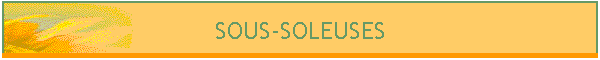 SOUS-SOLEUSES