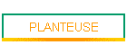 PLANTEUSE