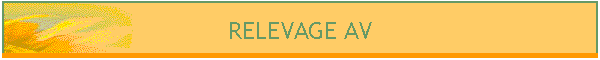 RELEVAGE AV