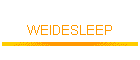 WEIDESLEEP